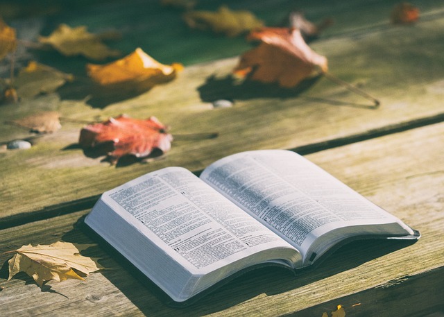 Duiken in de wereld van boeken: van literatuurkritiek tot boekuitgave